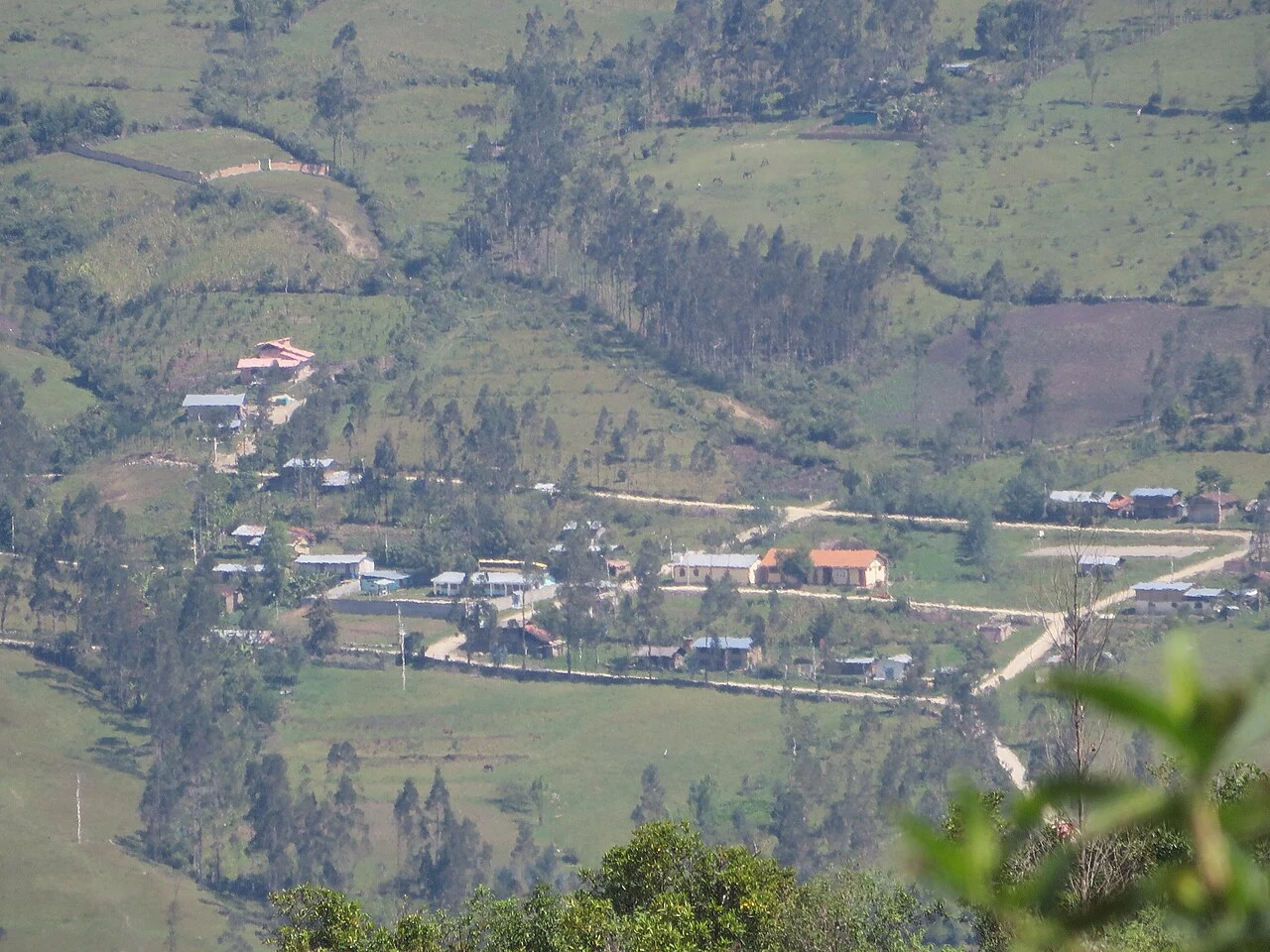 Chisquilla