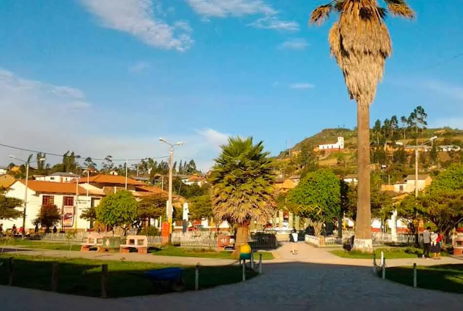 Pisuquia
