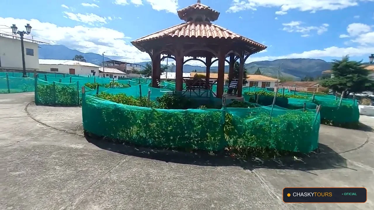 Foto 4 de Bongara