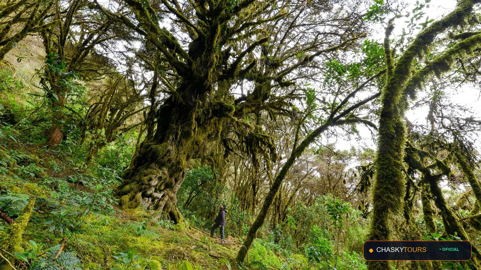 Santuario Nacional de Ampay foto 3
