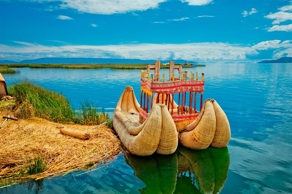 Totora