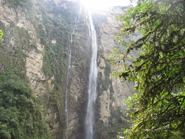 Valera